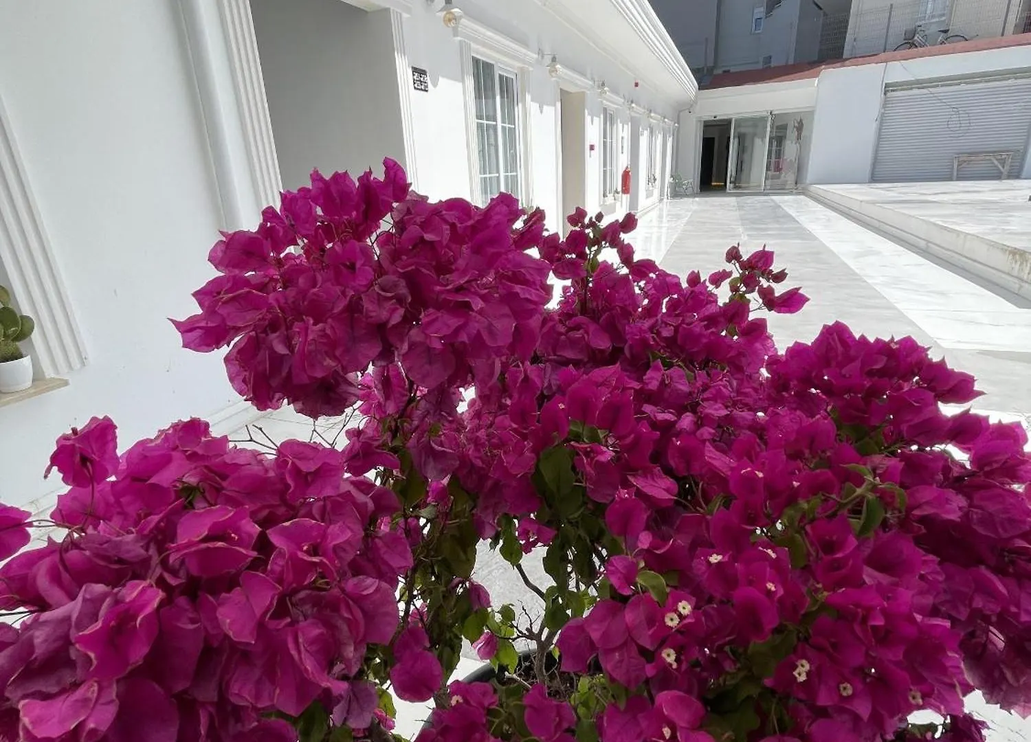 Mi Hotel Boutique Antalya Panzió